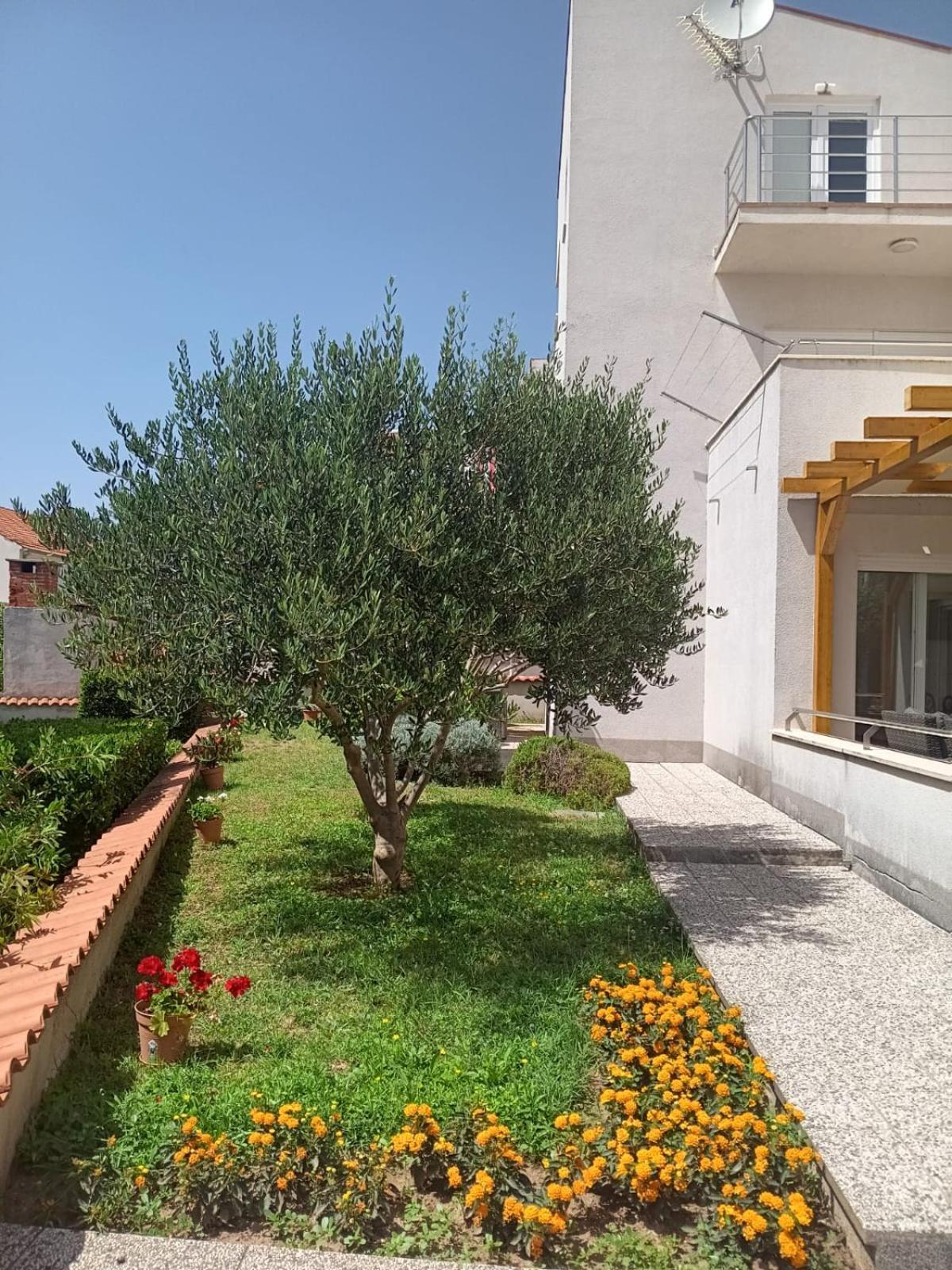 Lisa Appartement Zadar